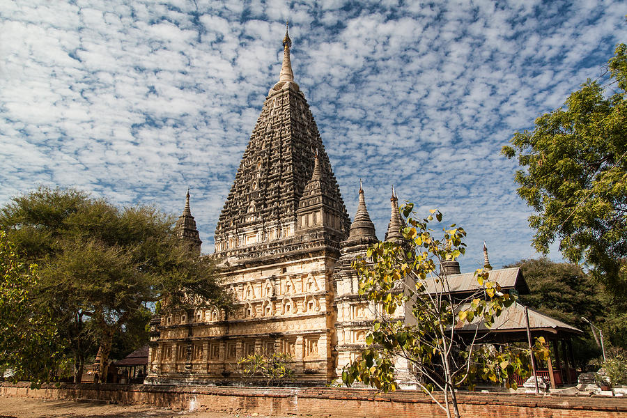 Mahabodhi Temple Photograph by Marc Hastenteufel