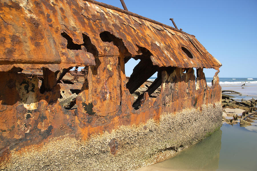 Maheno Shipwreck Digital Art by Carol Ailles