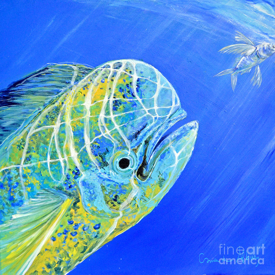 Mahi Mahi and flying fish Painting by Correa De Albury - Pixels