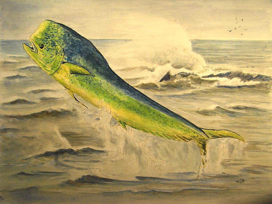 Fish Painting - Mahi mahi by Juan  Bosco