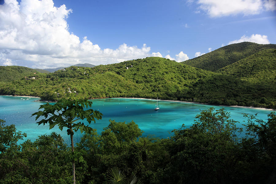 Paradise Photograph - Maho Bay by Heather Green