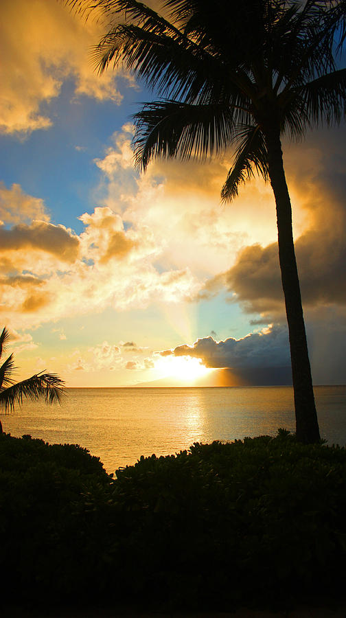 Mai Tai Sunset Photograph by Rick Lewis - Fine Art America