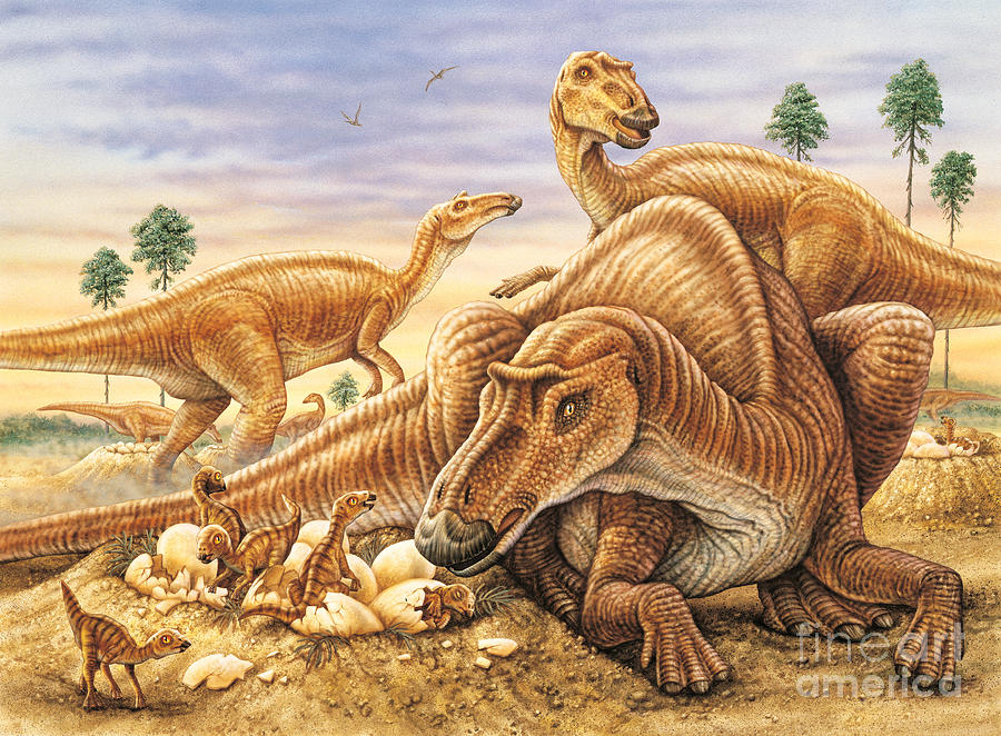 Babies Painting - Maiasaura and Nest by Phil Wilson Babies Painting - Maiasaura and Nest by Phil Wilson