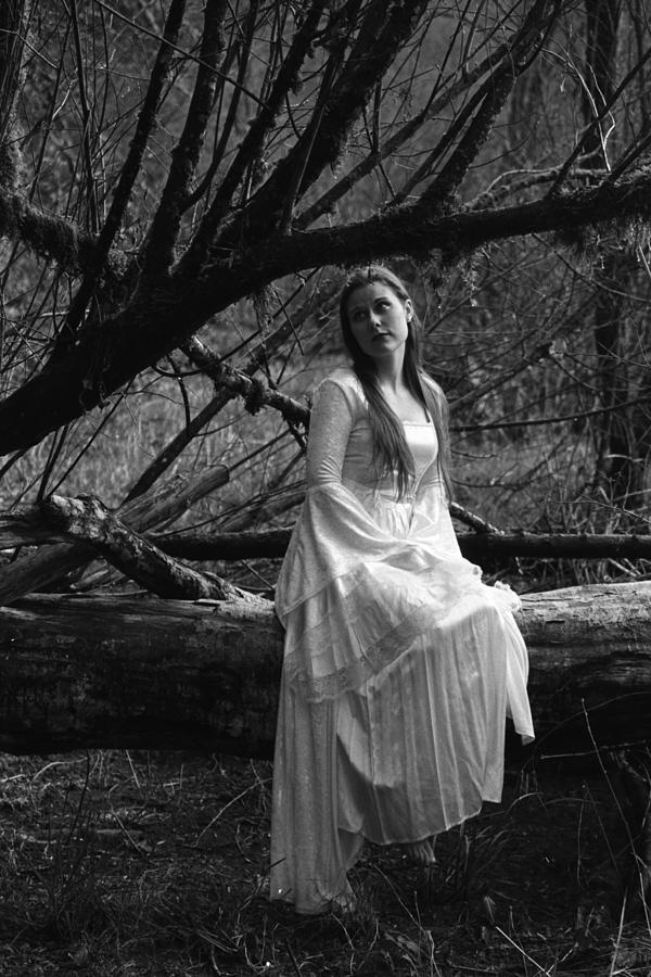 Maiden in the Forest Photograph by Mel Duncan - Pixels