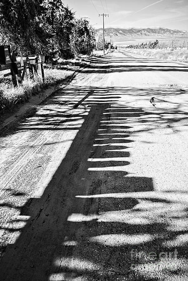 Mail Box Shadows Photograph by Norma Warden