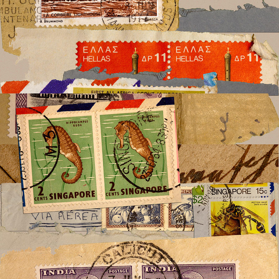 Seahorse Photograph - Mail Collage Singapore Seahorse by Carol Leigh