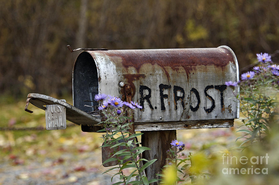 Mail For R Frost - D005926 Photograph by Daniel Dempster