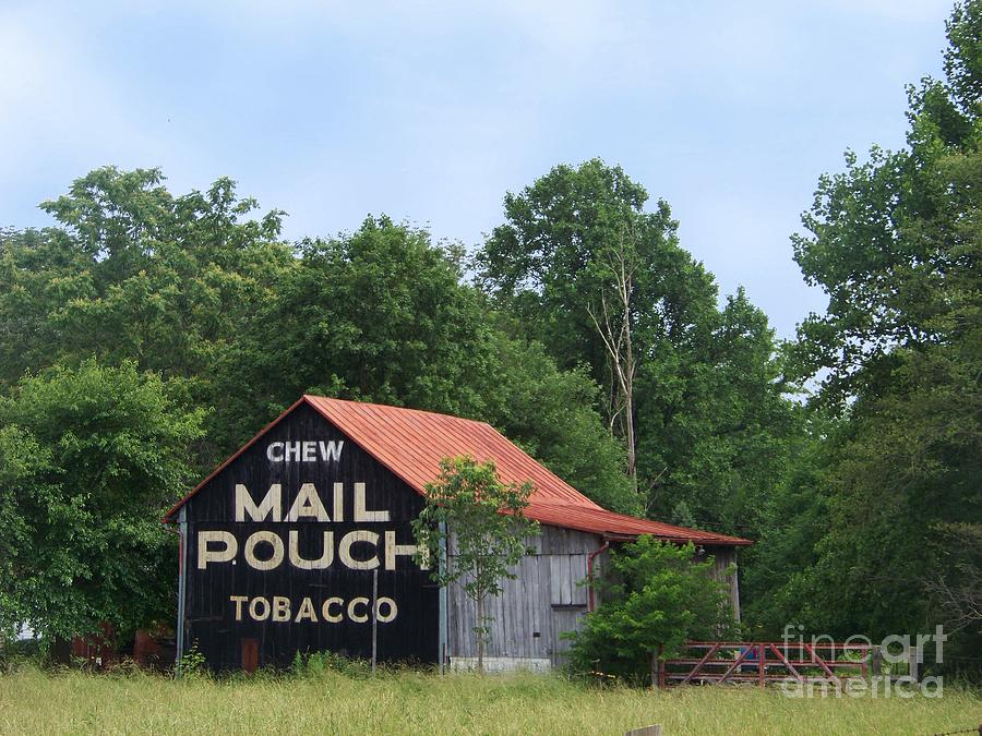 Mail Pouch Barn - Brown County Photograph by Charles Robinson