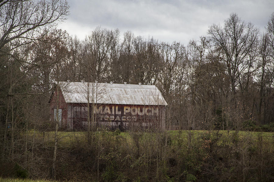 Mail Pouch Barn in Kentucky Photograph by John McGraw