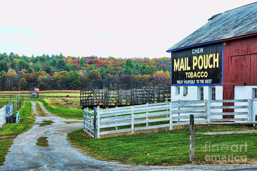 Mail Pouch Tobacco Barn in the Fall Photograph by Paul Ward