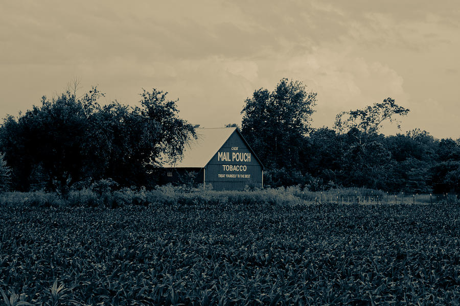 Mail Pouch Tobacco Barn Photograph by Off The Beaten Path Photography - Andrew Alexander