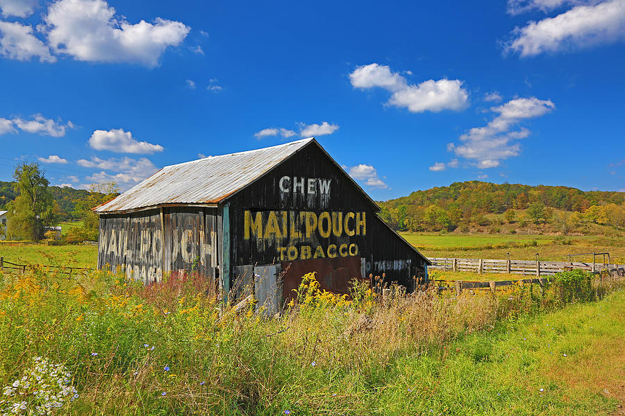 Mail Pouch Tobacco Barn WV Photograph by Jack Nevitt