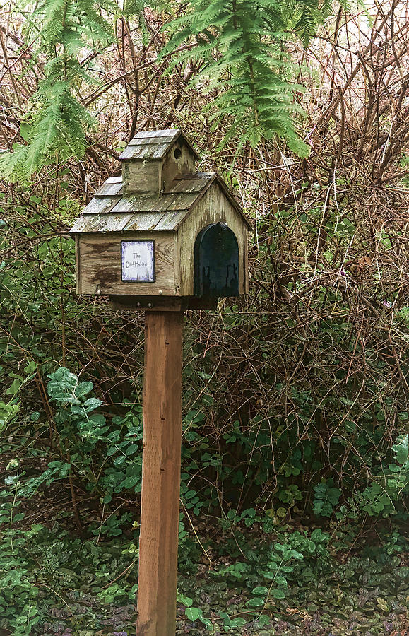 Mailbox For The Birds Photograph by Janis Knight