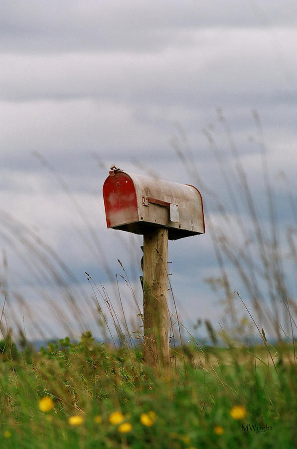 Farm Photograph - Mailbox by Michele Wright