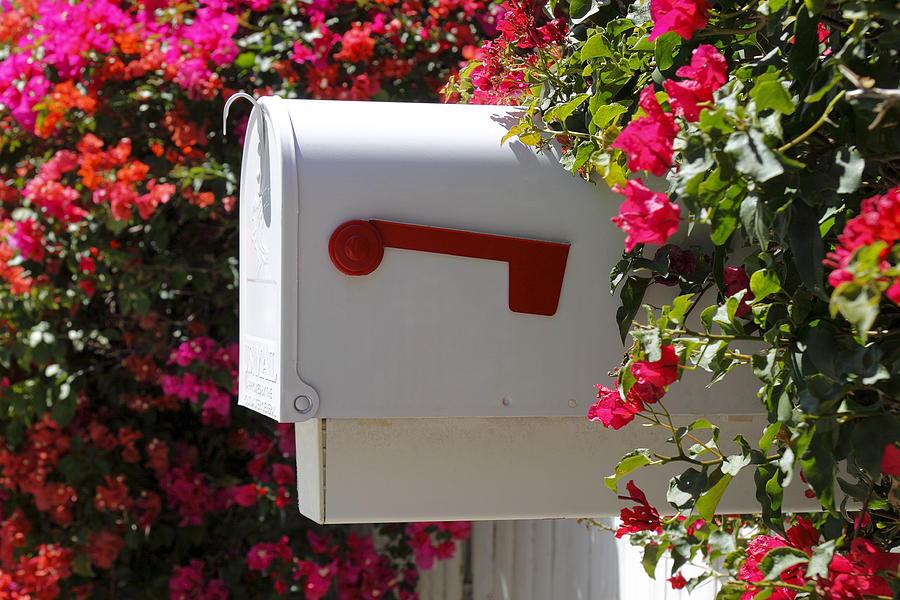 Mailbox Photograph by Rudy Umans