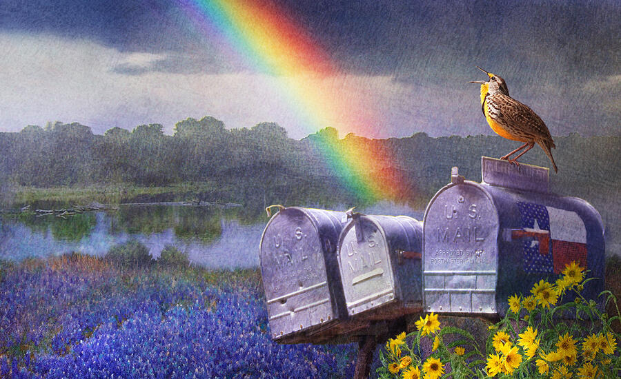 Mailboxes Bluebonnets And Meadowlark In Rainbow Painting by R christopher Vest Mailboxes Bluebonnets And Meadowlark In Rainbow Painting by R christopher Vest