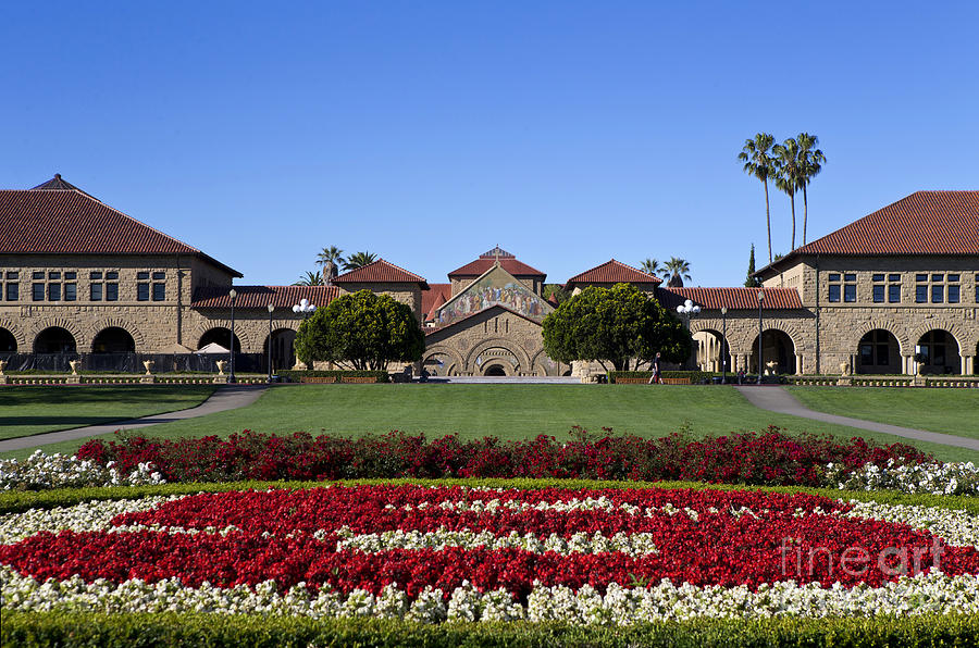 Stanford University Photograph - Main Quad Stanford California by Jason O Watson