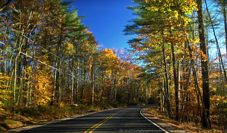 Maine Autumn Drive Photograph