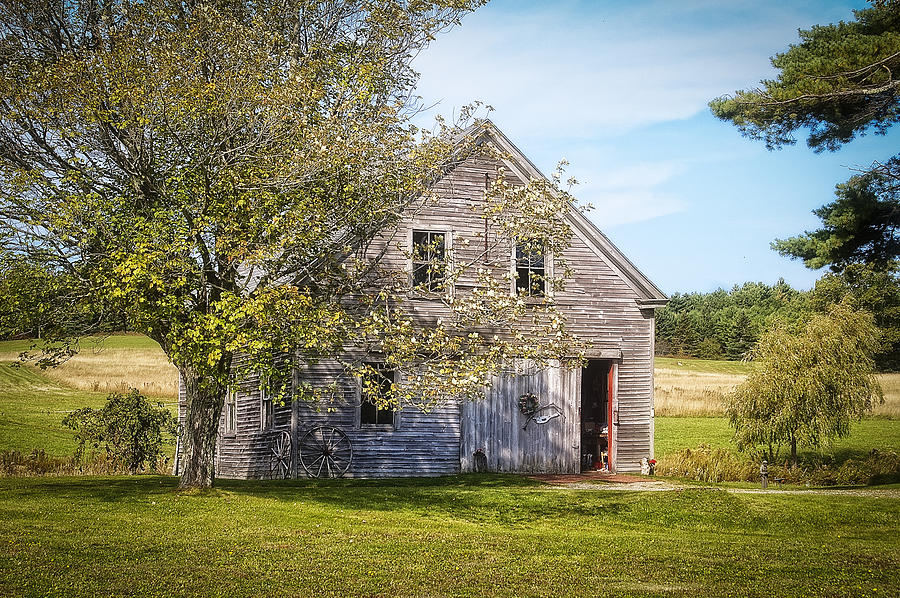 Maine Barn Photograph by Wayne Meyer