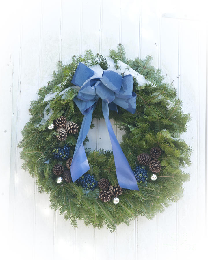 Maine Blueberry Wreath  Photograph by Alana Ranney