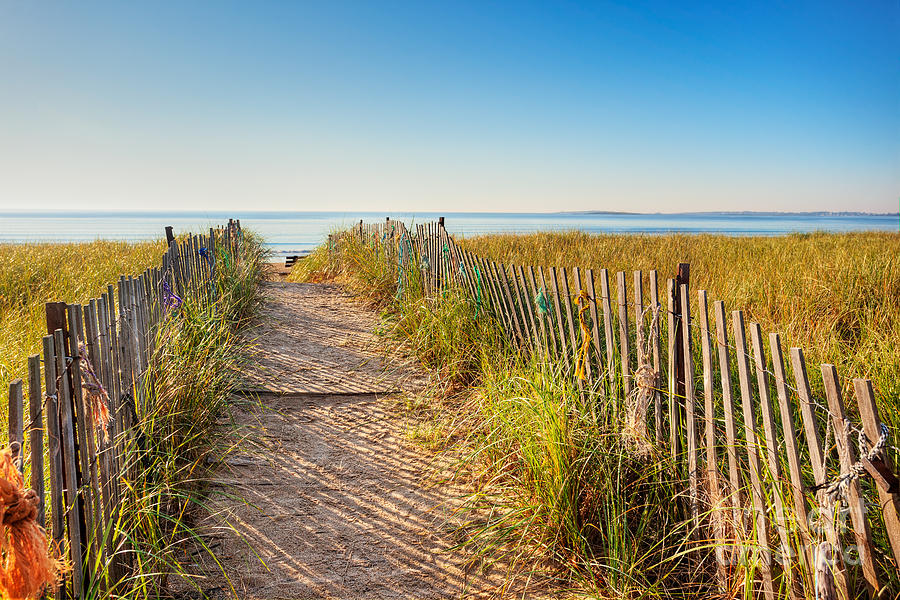 Summer Photograph - Maine boardwalk to the beach by Jo Ann Snover