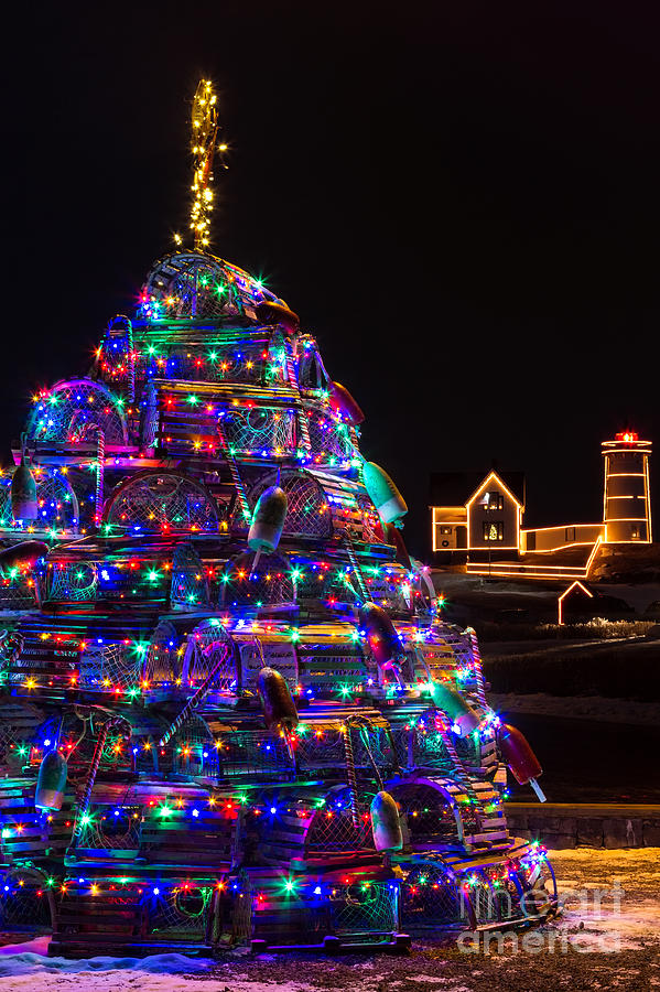 Maine Christmas Tree Cape Neddick Lighthouse Photograph by Dawna Moore