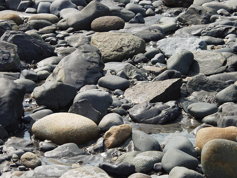 Maine Coast Rocks by Elizabeth Joslin