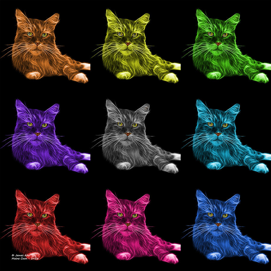 Maine Coon Cat - 3926 - BB - M Painting by James Ahn
