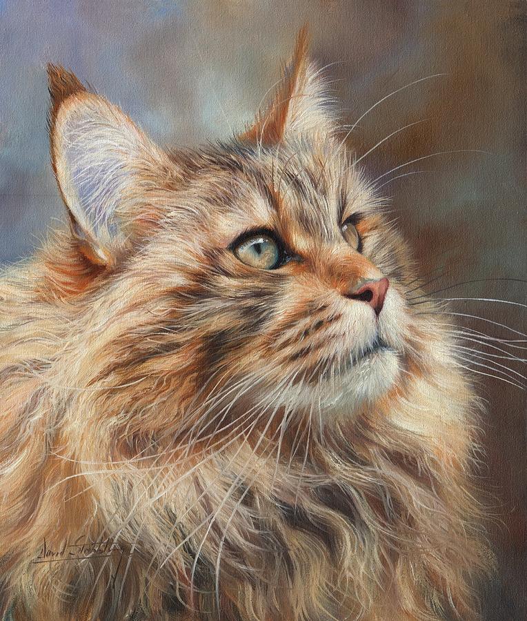 Animal Painting - Maine Coon Cat by David Stribbling