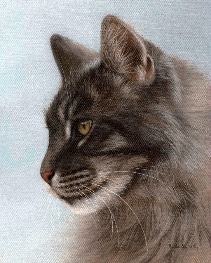 Cat Painting - Maine Coon Painting by Rachel Stribbling