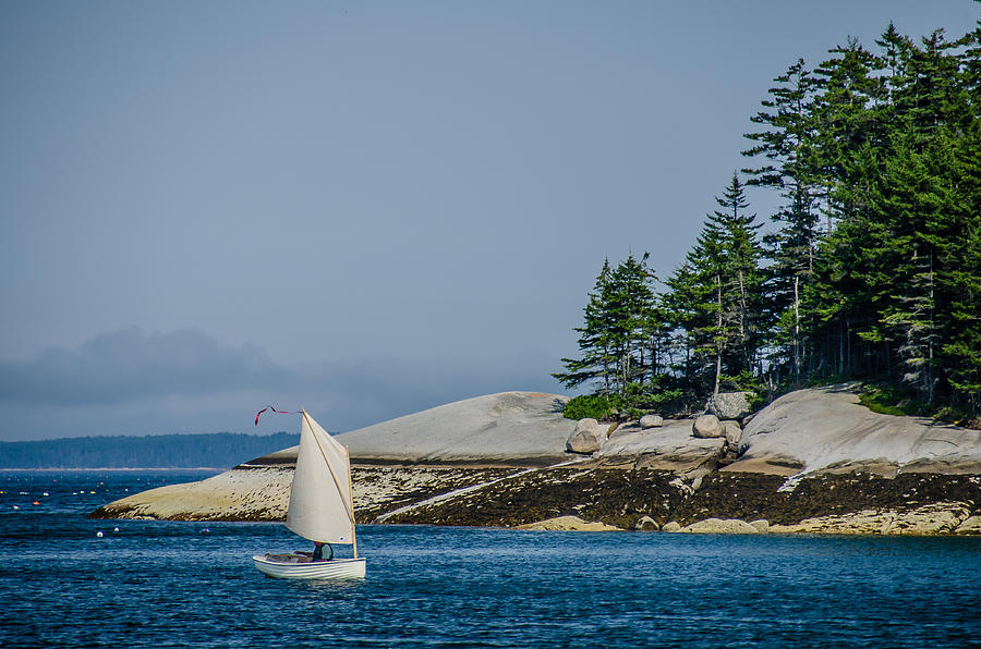 Maine Dinghy Sailing Photograph by Jennifer Kano