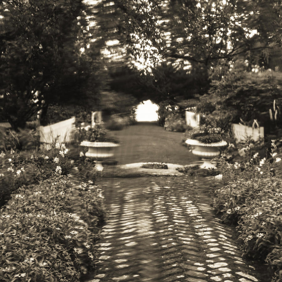 Maine Garden-Sepia Photograph by Gail Dodge - Fine Art America