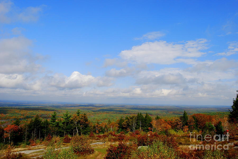 Maine In Autumn Photograph