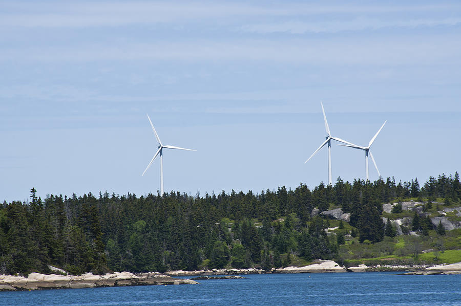 Maine Island Power Photograph by Daniel Hebard