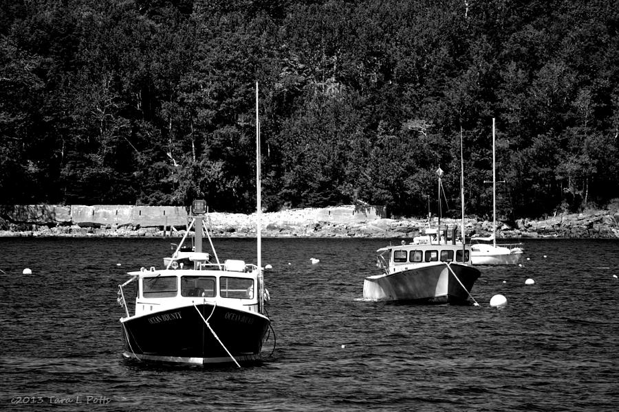 Maine Lobster Boats Photograph by Tara Potts