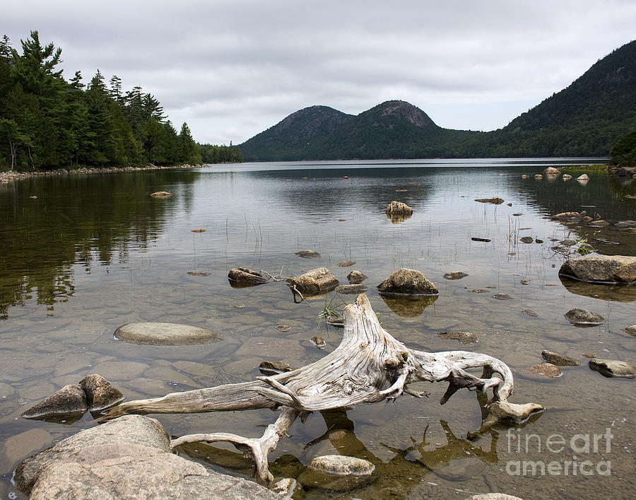 Gallery Photograph - Maine by Richard Smukler