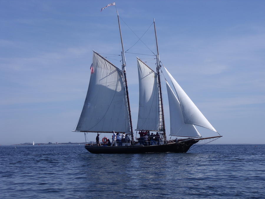 Maine sailing Photograph by Tamara Stetson - Pixels