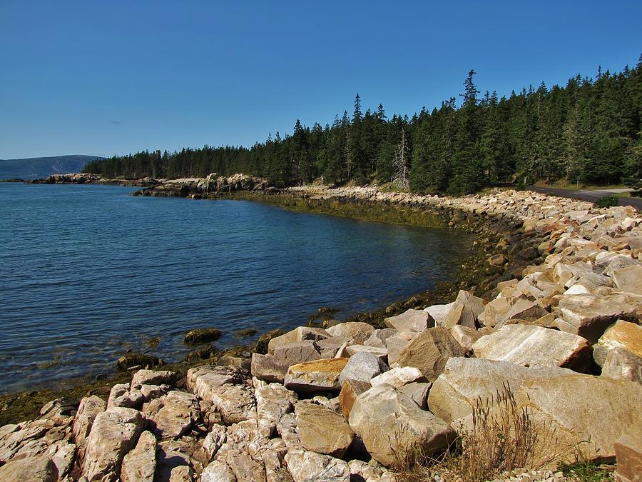 Maine Shoreline Photograph by Nick Sikorski - Fine Art America