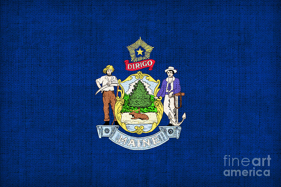 Flag Painting - Maine State Flag by Pixel Chimp