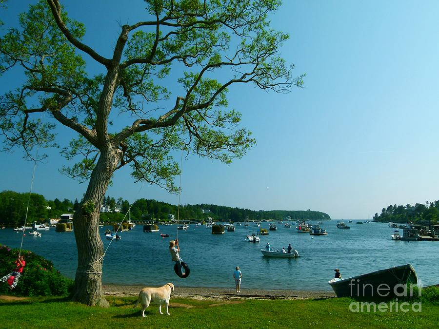 Maine Summer Day At Mackerel Cove Photograph