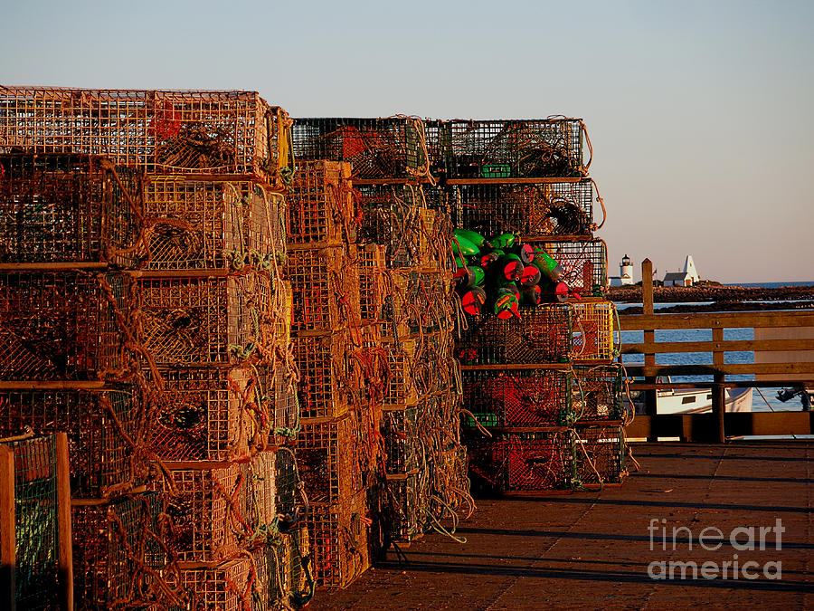 Sunset Photograph - Maine Traps by HEVi FineArt
