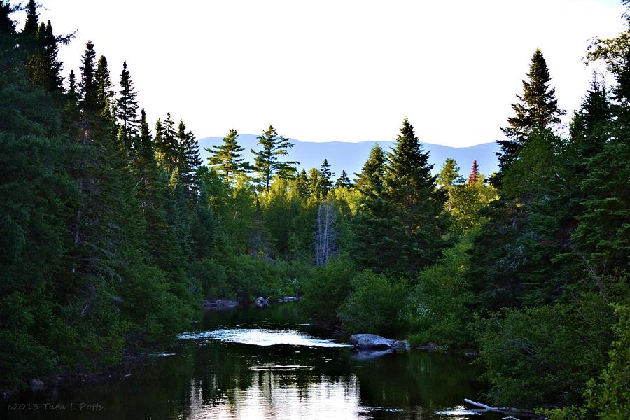 Maine Wilderness Photograph by Tara Potts
