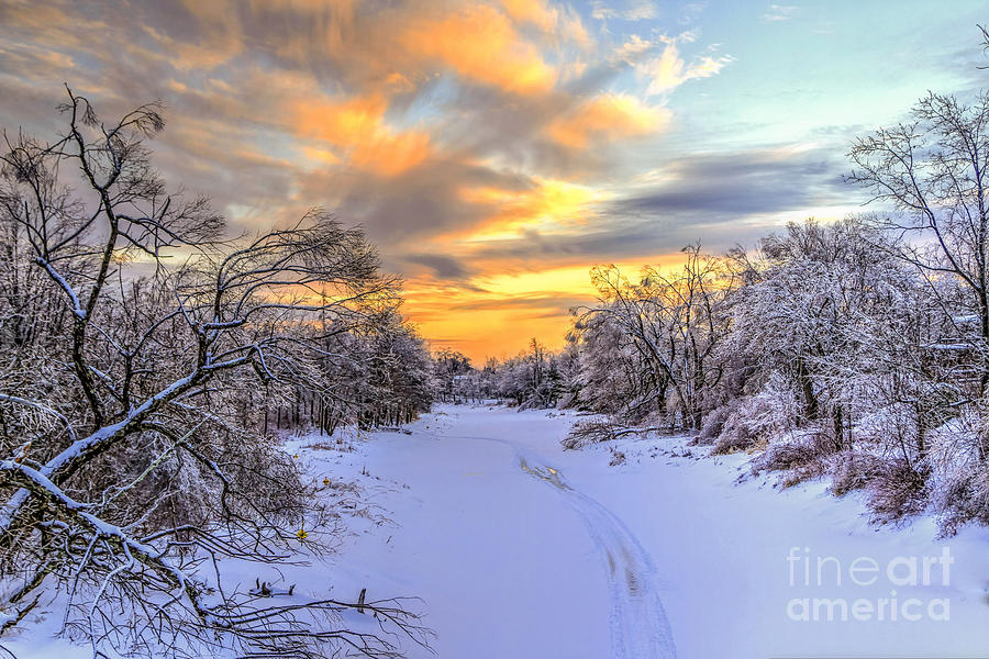 Sunset Photograph - Maine Winter Woods by Brenda Giasson