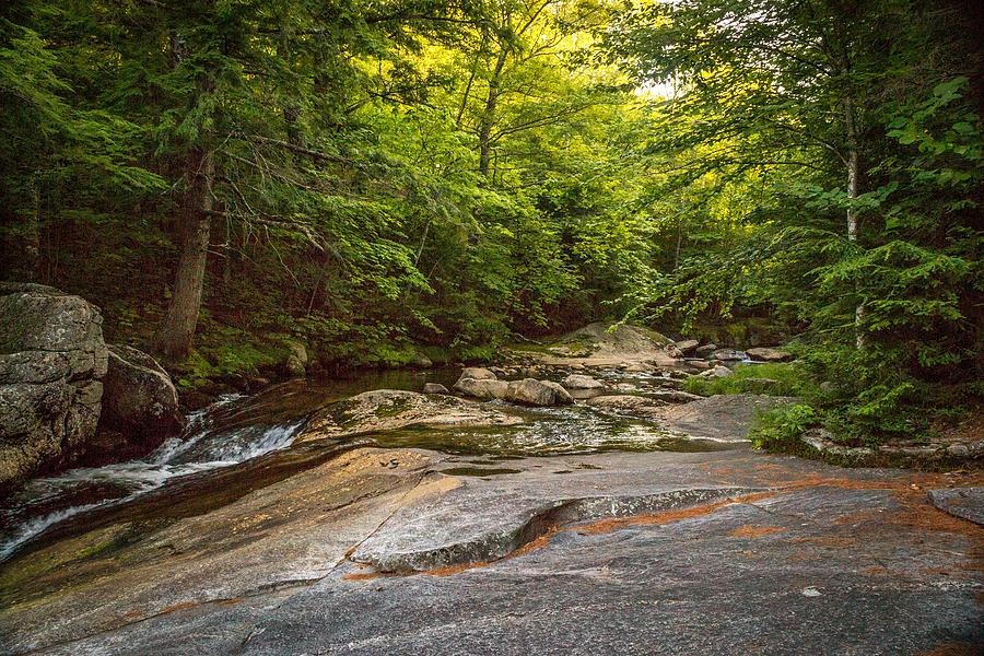 Maine Woodland Stream Photograph by Chandler McGrew - Fine Art America