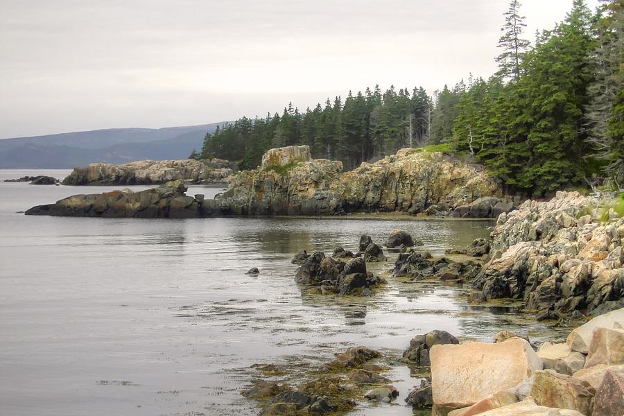 Maine's Beautiful Rocky Shore Photograph by Denyse Duhaime