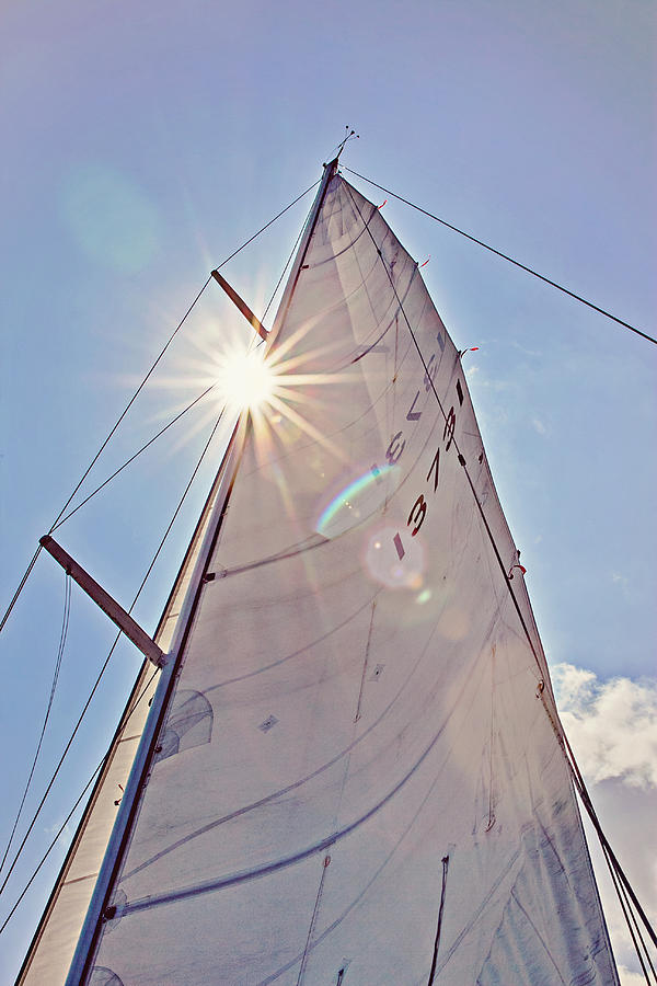 Boat Photograph - Mainsail  by Justyn  Lamb