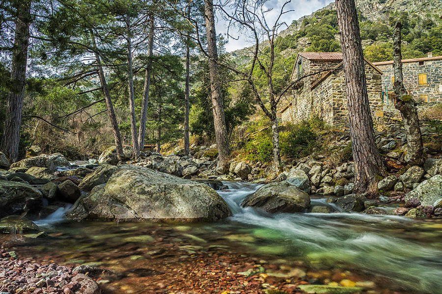 Maison Forestiere By Tartagine River In Northern Corsica Photograph