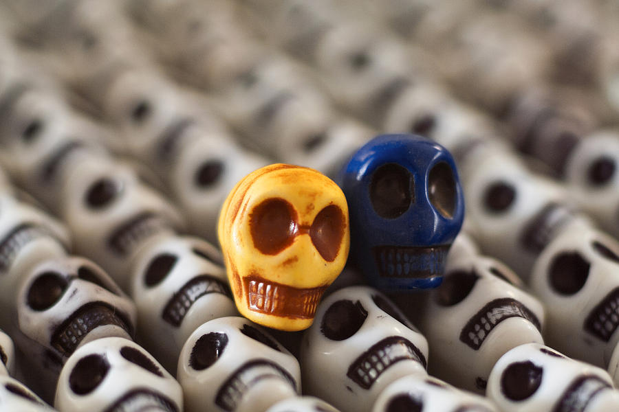 Skull Photograph - Maize and Blue by Mike Herdering