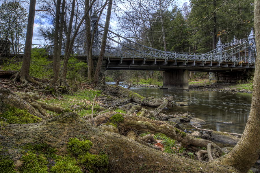 Majestic Bridge in the Woods Photograph by David Dufresne