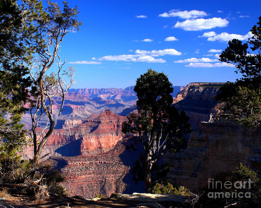 Majestic Canyon Photograph by Patrick Witz